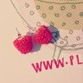 PWF5_instagram