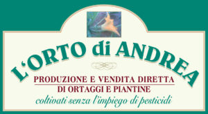 8_ortodiandrea